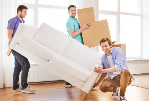 Risk assessment and planning during a professional house move