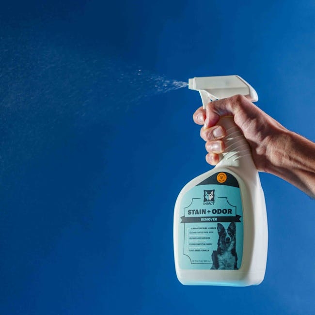 A close-up of a person's hand holding a white spray bottle labeled 'Stain + Odor Remover' with a blue background, demonstrating a cleaning product used for preparing furniture and surfaces during hous